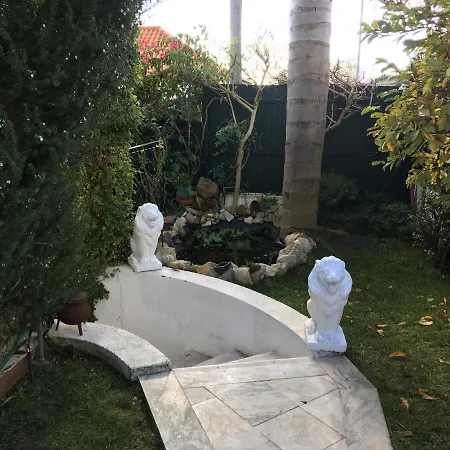Villapalmeira Sintraguest Guest house Sintra